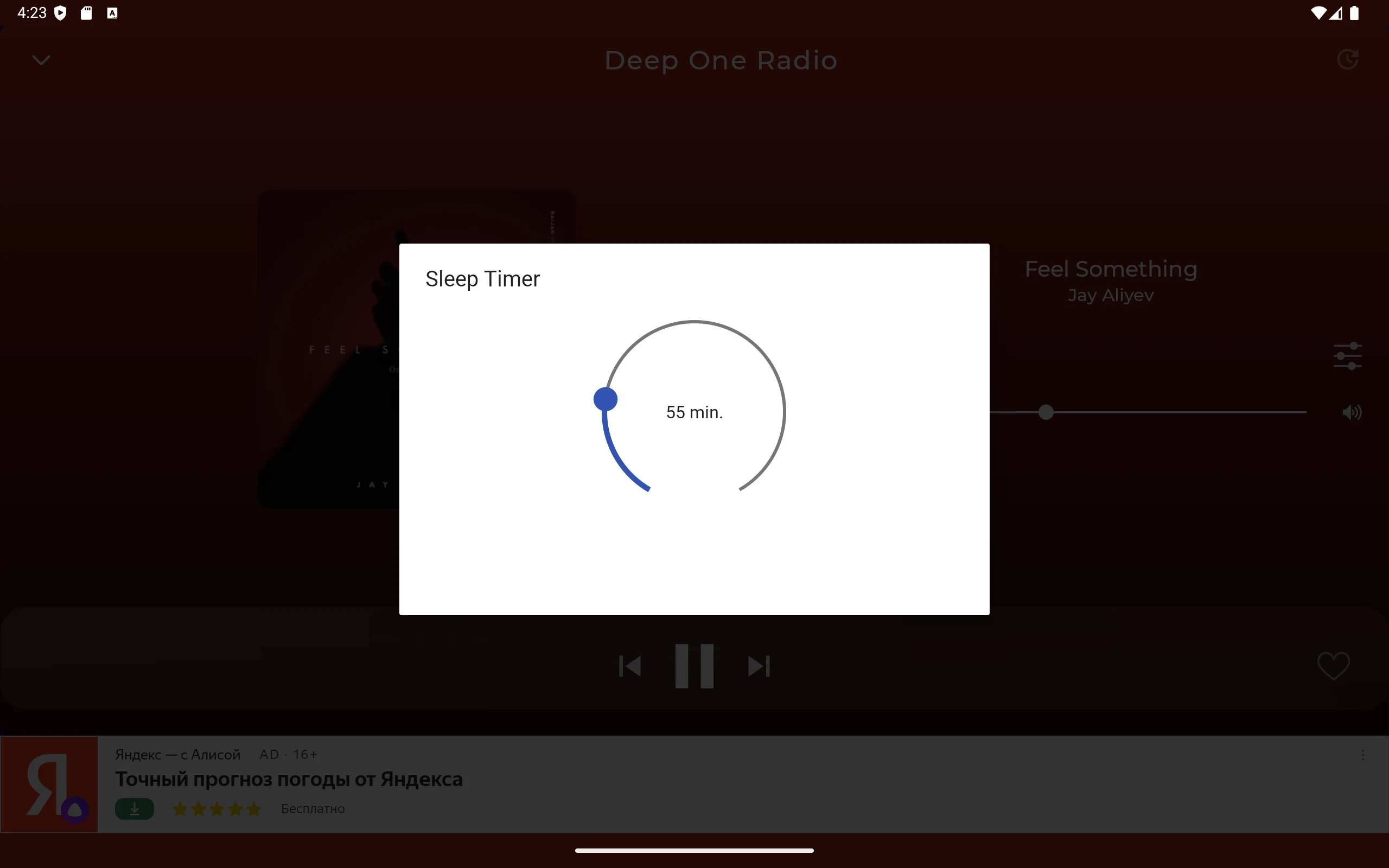 Deep House Radio - EDM Music screenshot